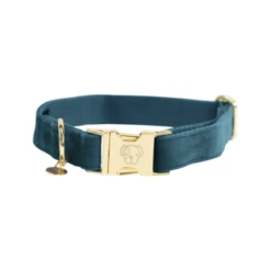 Kentucky Dogwear Velvet Hundehalsband 11 Kentucky Dogwear Velvet Hundehalsband -Heimtierbedarf kentucky dogwear velvet hondenhalsband 219231 0500 none