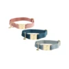 Kentucky Dogwear Velvet Hundehalsband -Heimtierbedarf kentucky dogwear velvet hondenhalsband 219233 0500 none
