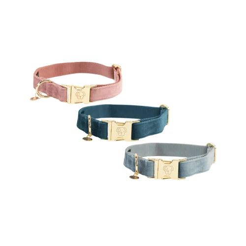 Kentucky Dogwear Velvet Hundehalsband Kentucky Dogwear Velvet Hundehalsband -Heimtierbedarf kentucky dogwear velvet hondenhalsband 219233 0500 none