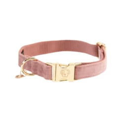 Kentucky Dogwear Velvet Hundehalsband 3 Kentucky Dogwear Velvet Hundehalsband -Heimtierbedarf kentucky dogwear velvet hondenhalsband 219234 0500 none