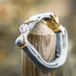 Kentucky Dogwear Velvet Hundehalsband 13 Kentucky Dogwear Velvet Hundehalsband -Heimtierbedarf kentucky dogwear velvet hondenhalsband 219236 0500 none