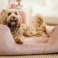 Kentucky Dogwear Velvet Hundekorb -Heimtierbedarf kentucky dogwear velvet hondenmand 219658 0500 none