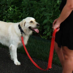 KONG Adjustable Leash -Heimtierbedarf kong adjustable leash 194813 0500 none