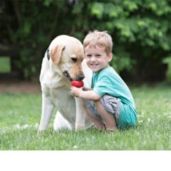 KONG Classic -Heimtierbedarf kong classic 98642 0500 none