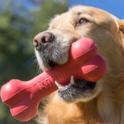 KONG Goodie Bone -Heimtierbedarf kong goodie bone 194186 0500 none