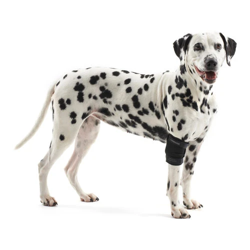 Kruuse Rehab Ellenbogenschutz Kruuse Rehab Ellenbogenschutz -Heimtierbedarf kruuse rehab elleboogbeschermer 142256 0500 none