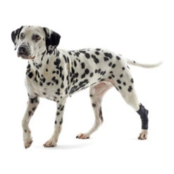 Kruuse Rehab Fersenschutz