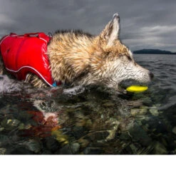 Kurgo Skipping Stones -Heimtierbedarf kurgo skipping stones 99608 0500 none