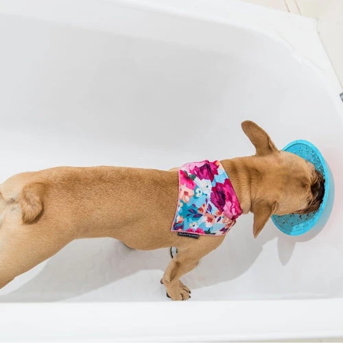 LickiMat Splash LickiMat Splash -Heimtierbedarf lickimat splash 164212 0500 none