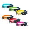 Max & Molly Smart ID Halsband -Heimtierbedarf max molly smart id halsband 141887 0500 none