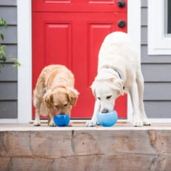 Planet Dog Orbee-Tuff Lil’ Snoop Toy -Heimtierbedarf orbee tuff lil snoop toy 203408 0500 none