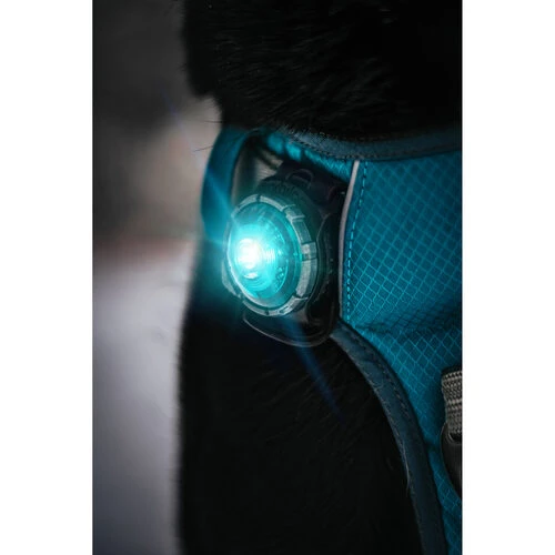 Orbiloc Dog Dual Safety Light Orbiloc Dog Dual Safety Light -Heimtierbedarf orbiloc led veiligheidslamp 188103 0500 none
