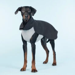 PAIKKA Recovery Winter Shirt 3 PAIKKA Recovery Winter Shirt -Heimtierbedarf paikka recovery winter shirt 217788 0500 none