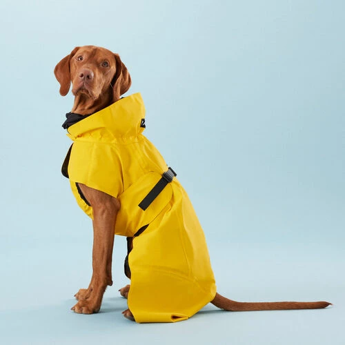 PAIKKA Visibility Raincoat Lite Yellow PAIKKA Visibility Raincoat Lite Yellow -Heimtierbedarf paikka visibility raincoat lite yellow 217726 0500 none