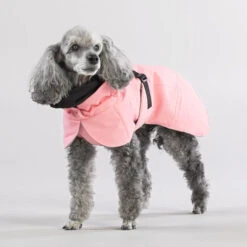 PAIKKA Visibility Winter Jacket -Heimtierbedarf paikka visibility winter jacket 217799 0500 none