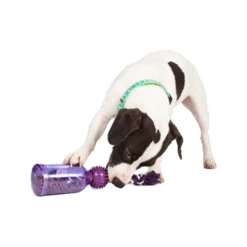 PetSafe Tug-a-Jug -Heimtierbedarf petsafe tug a jug 216335 0500 none