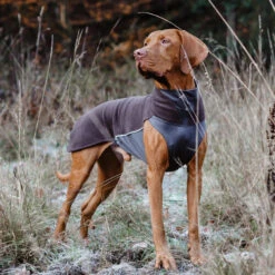 Pomppa Jumppa -Heimtierbedarf pomppa jumppa 190570 0500 none