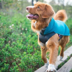 Pomppa Jumppa -Heimtierbedarf pomppa jumppa 190573 0500 none