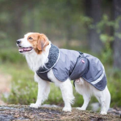 Pomppa Perus Hundejacke -Heimtierbedarf pomppa perus hondenjas 215732 0500 none