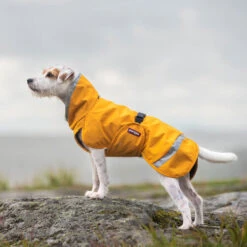 Pomppa Perus Hundejacke -Heimtierbedarf pomppa perus hondenjas 215735 0500 none