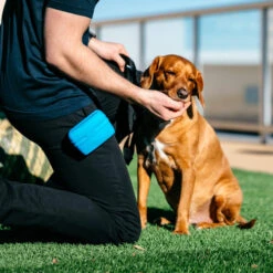 Popware Pooch Pouch Treatbag -Heimtierbedarf popware pooch pouch treatbag 164698 0500 none