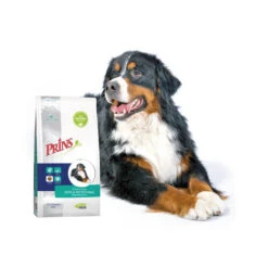 Prins ProCare Croque Skin & Intestinal Hypoallergic 3 Prins ProCare Croque Skin & Intestinal Hypoallergic -Heimtierbedarf prins procare croque skin intestinal hypoallergic 171451 0500 none