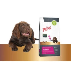 Prins Protection Croque Junior Performance 4 Prins Protection Croque Junior Performance -Heimtierbedarf prins protection croque junior performance 172012 0500 none