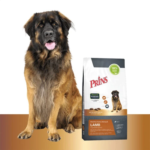 Prins Protection Croque Lamb Hypoallergenic Prins Protection Croque Lamb Hypoallergenic -Heimtierbedarf prins protection croque lamb hypoallergenic 172030 0500 none