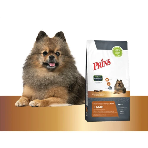 Prins Protection Croque Mini Lamb Hypoallergenic Prins Protection Croque Mini Lamb Hypoallergenic -Heimtierbedarf prins protection croque mini lamb hypoallergenic 172102 0500 none