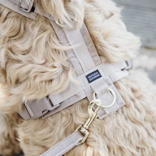 Kentucky Dog Harness Active Velvet Kentucky Dog Harness Active Velvet -Heimtierbedarf prod 15744 218987 0500 none
