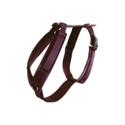 Kentucky Dog Harness Active Velvet 7 Kentucky Dog Harness Active Velvet -Heimtierbedarf prod 15744 218988 0500 none
