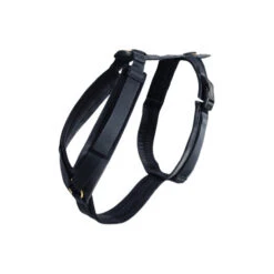 Kentucky Dog Harness Active Velvet 9 Kentucky Dog Harness Active Velvet -Heimtierbedarf prod 15744 218993 0500 none