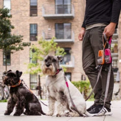 DOG Copenhagen Urban Trail Leine -Heimtierbedarf prod 15941 220339 0500 none