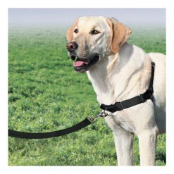 PetSafe Easywalk Trainigsgeschirr -Heimtierbedarf product easywalk tuigje none 4 1477994349 79564