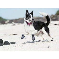 Hurtta Hundeschuhe Outback 4 Hurtta Hundeschuhe Outback -Heimtierbedarf product hurtta outback boots none 4 1478786124 80266