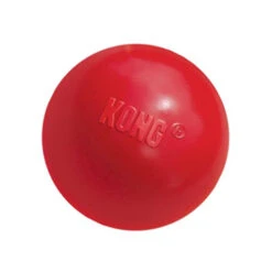 KONG Ball 5 KONG Ball -Heimtierbedarf product kong ball none 4 1466058812 69915