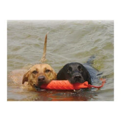 KONG Training Dummy -Heimtierbedarf product kong training dummy none 4 1469627104 71971