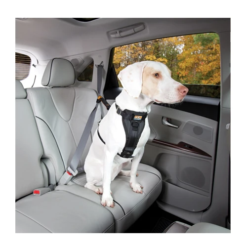 Kurgo Enhanced Tru-Fit Smart Harness -Heimtierbedarf product kurgo tru fit smart harness none 4 1476952073 79204