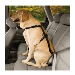 Kurgo Enhanced Tru-Fit Smart Harness -Heimtierbedarf product kurgo tru fit smart harness none 4 1476952076 79213