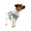 Lief! Boys Hundegeschirr -Heimtierbedarf product lief boys hondenharnas none 4 1497015028 87178