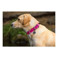 Ruffwear Headwater Collar 4 Ruffwear Headwater Collar -Heimtierbedarf product ruffwear headwater collar none 4 1487775433 83755