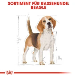 Royal Canin Beagle Adult - Hundefutter -Heimtierbedarf royal canin beagle adult hondenvoer 137293 0500 none