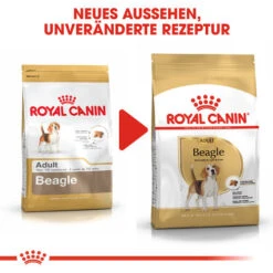 Royal Canin Beagle Adult - Hundefutter -Heimtierbedarf royal canin beagle adult hondenvoer 137314 0500 none