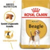 Royal Canin Beagle Adult - Hundefutter -Heimtierbedarf royal canin beagle adult hondenvoer 137341 0500 none