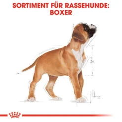 Royal Canin Boxer Puppy - Hundefutter -Heimtierbedarf royal canin boxer puppy hondenvoer 137491 0500 none