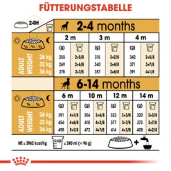 Royal Canin Boxer Puppy - Hundefutter -Heimtierbedarf royal canin boxer puppy hondenvoer 137500 0500 none