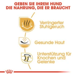 Royal Canin Bulldog Adult - Hundefutter 4 Royal Canin Bulldog Adult - Hundefutter -Heimtierbedarf royal canin bulldog adult hondenvoer 137659 0500 none