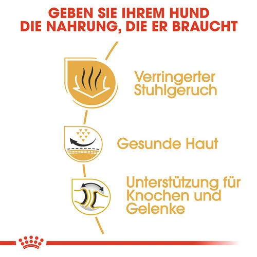 Royal Canin Bulldog Adult - Hundefutter Royal Canin Bulldog Adult - Hundefutter -Heimtierbedarf royal canin bulldog adult hondenvoer 137659 0500 none