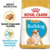 Royal Canin Bulldog Puppy - Hundefutter 2 Royal Canin Bulldog Puppy - Hundefutter -Heimtierbedarf royal canin bulldog puppy hondenvoer 137848 0500 none