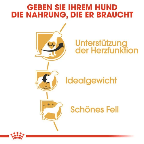 Royal Canin Cavalier King Charles Adult - Hundefutter Royal Canin Cavalier King Charles Adult - Hundefutter -Heimtierbedarf royal canin cavalier king charles adult hondenvoer 137869 0500 none